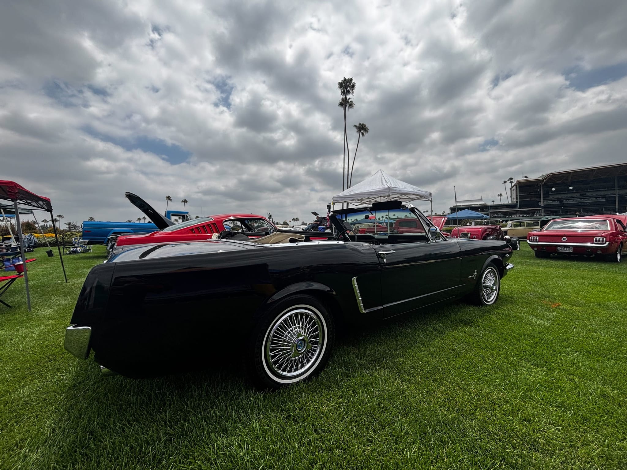 Black Ford Mustang convertible with a mirror-gloss finish at an outdoor car show